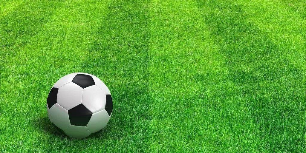 足球爱好者赛事分析